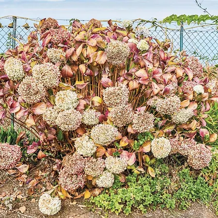 Casa vacanze Hoya Charcos *