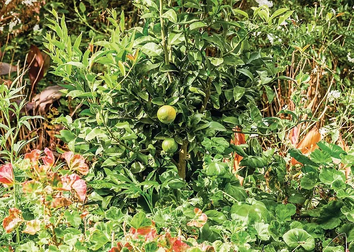 Hoya Charcos Сasa de vacaciones *